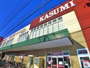 カスミ(スーパー)まで620m グリーンコーポ