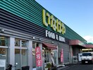 いなげや　あきる野新草花店(スーパー)まで348m ディアコート門前