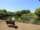 鹿沼公園(公園)まで560m コ－ポ・ウエストアイランド