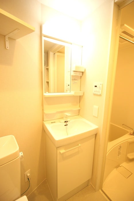 洗面 ｔｈｅ　ＫＯＩＳＨＩＫＡＷＡ