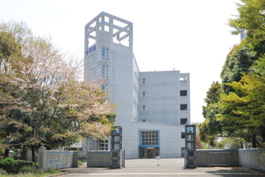 女子美術大学(大学/短大/専門学校)まで3100m レーヴコート相模台