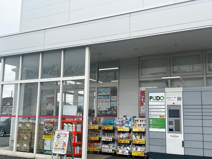 ココカラファイン七里ガ浜店(ドラッグストア)まで1000m リブリ・SeaCandle稲村
