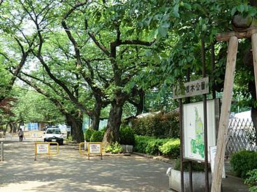 羽根木小緑地(公園)まで210m アトリエ松原