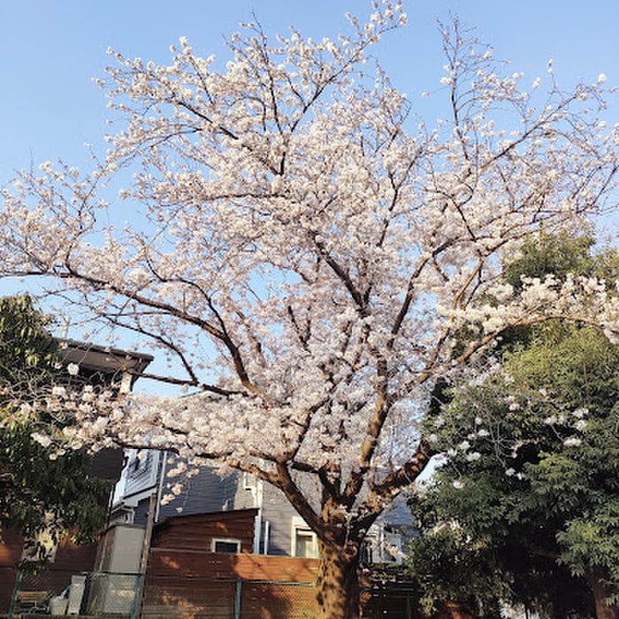 駒形公園(公園)まで400m ハイツ仲西