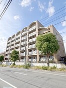 グリーンシティー五番館の外観