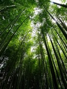 見沼通船掘公園(公園)まで200m グリーンシティー五番館