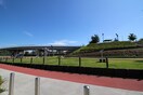 美園台公園(公園)まで220m カーサスミレ　トレス