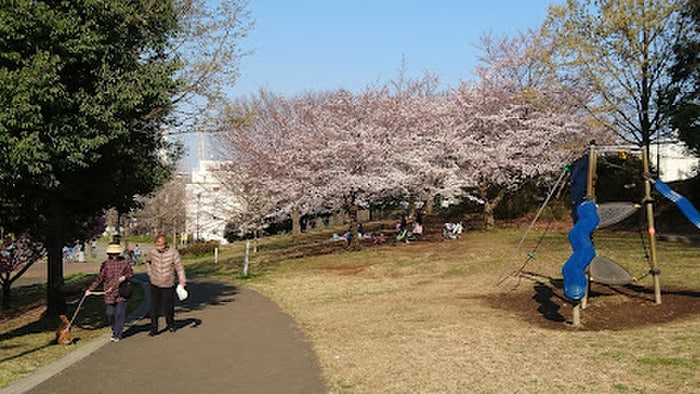 片倉うさぎ山公園(公園)まで1100m ハイムかわせみ
