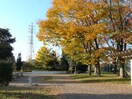 番場公園(公園)まで1200m レジデンス飯田