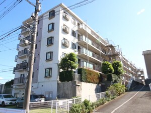 ルミネたまプラーザ（311）