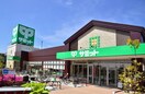 サミットストア羽衣いちょう通り店(スーパー)まで439m アパートメント石原