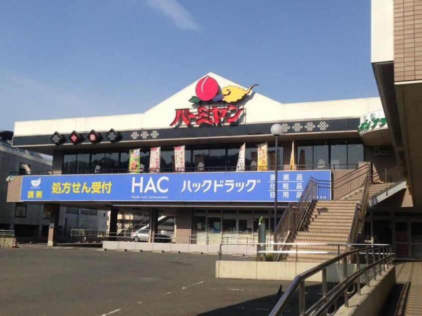 ハックドラッグ 緑園都市店(ドラッグストア)まで800m メゾンブロ－Ａ