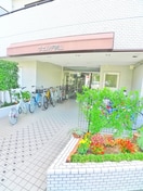 その他 ヴェルデ流山