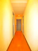 廊下 ランドフォレスト天王台Ⅰ