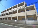 その他 フォルトゥ－ナコンテ