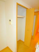 収納 フォルトゥ－ナコンテ