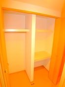 収納 フォルトゥ－ナコンテ