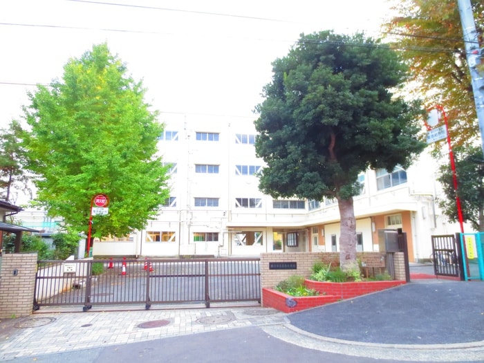 奈良小学校(小学校)まで320m 芙蓉館