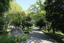 行船公園(公園)まで1200m コンフォリア・リヴ西葛西