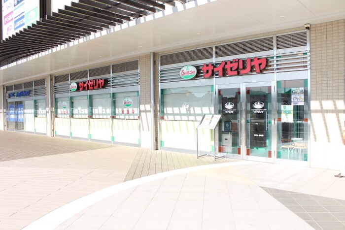 サイゼリヤ マルエツ長津田駅前店(その他飲食（ファミレスなど）)まで287m Ｔ、Ｓカ－ネル