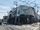 サミットストア　本天沼店(スーパー)まで522m ドリ－ムハイツ