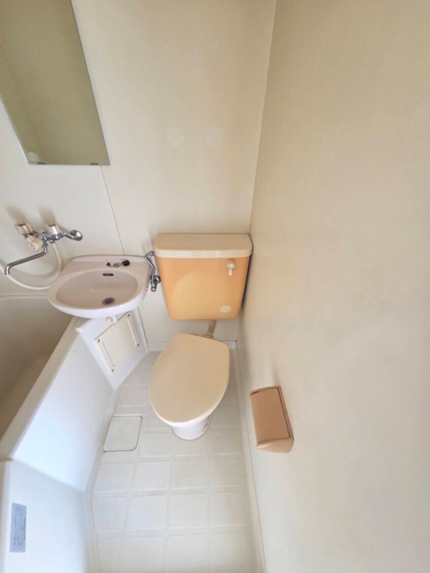 トイレ シルフィ－ド相武台(301)