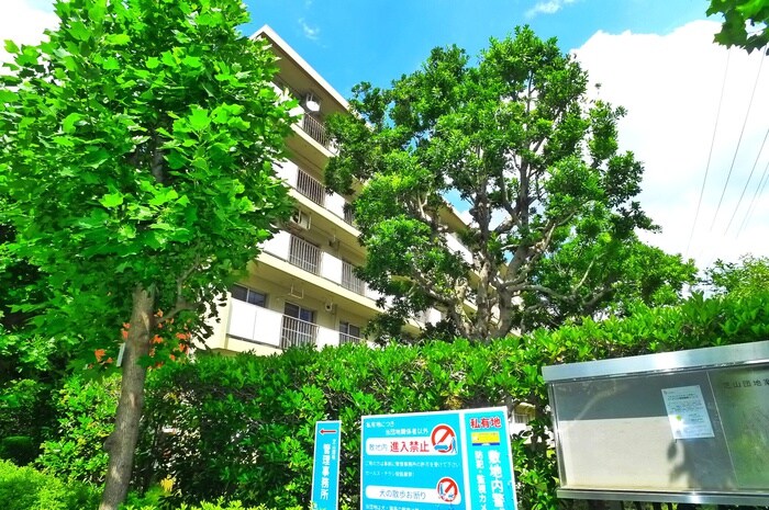 その他 芝山団地19号棟（103）