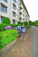 エントランス部分 芝山団地19号棟（103）
