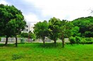 室内からの展望 芝山団地19号棟（103）