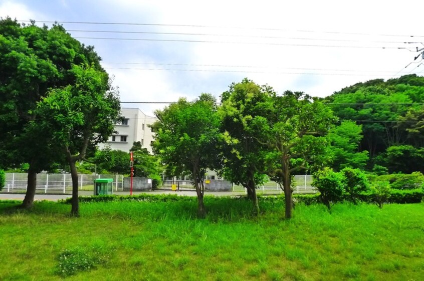 室内からの展望 芝山団地19号棟（103）