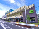 マミーマート(スーパー)まで410m 芝山団地19号棟（103）