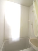 バス／シャワールーム等 プリモ日吉