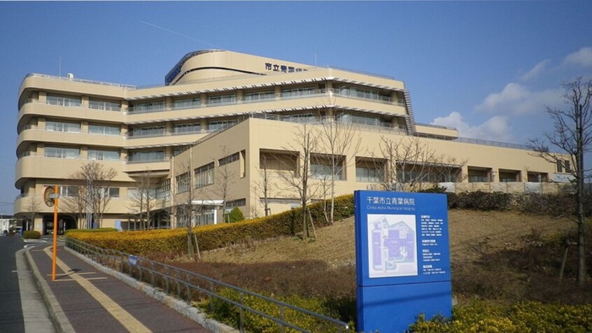 青葉病院(病院)まで2700m 都町戸建