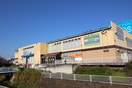 食品館あおば(スーパー)まで550m 新川荘