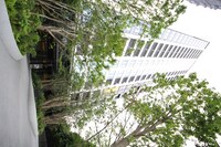 ｽｶｲﾌｫﾚｽﾄﾚｼﾞﾃﾞﾝｽ（908）