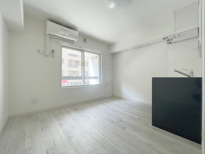 居室 ライベスト武蔵小金井（３０１）