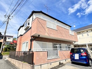 コスモス