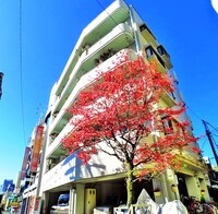 サン・クレスト