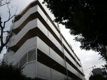 アマドリア豪徳寺(101)