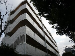 アマドリア豪徳寺(101)