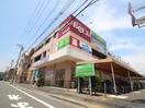 ベルクス　足立加平店(スーパー)まで546m エムケイコ－ポ谷中
