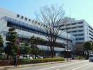 獨協医大付属病院(病院)まで180m サンリーフⅡ