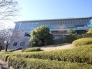 大妻女子大学(大学/短大/専門学校)まで1300m サンドルフ多摩