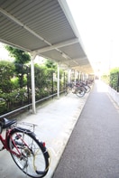 駐輪場 プロスペクト川崎