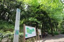 林試の森(公園)まで374m メルシー下目黒