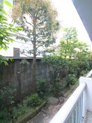 室内からの展望 メゾン森