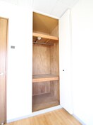 収納 レスパスノンシャラン