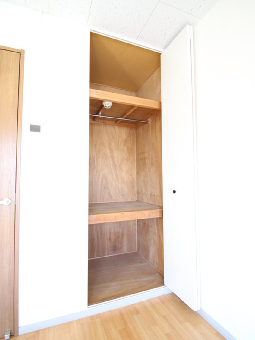 収納 レスパスノンシャラン