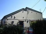 β