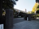 武蔵大学(大学/短大/専門学校)まで772m ふぁみりいＣＨ２